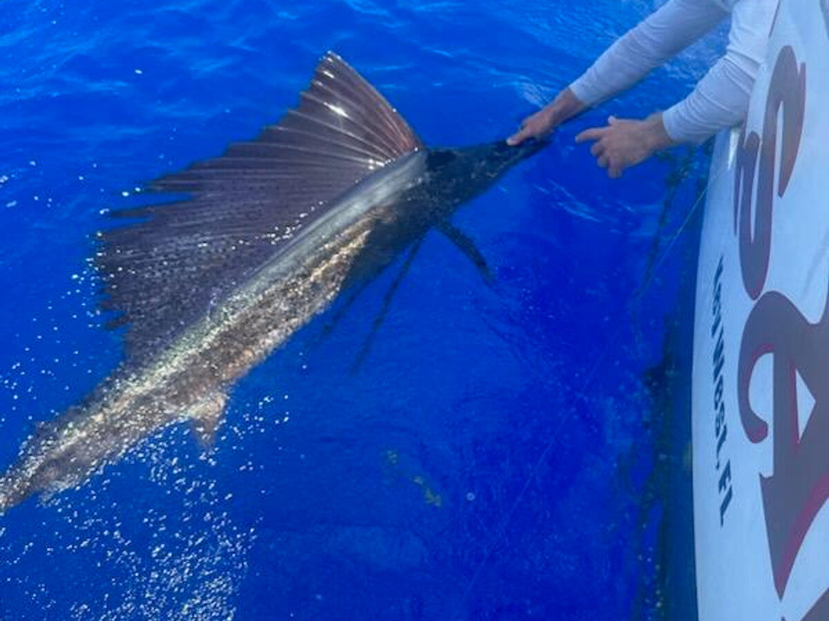 Corsair 2 Sportfishing in Key West