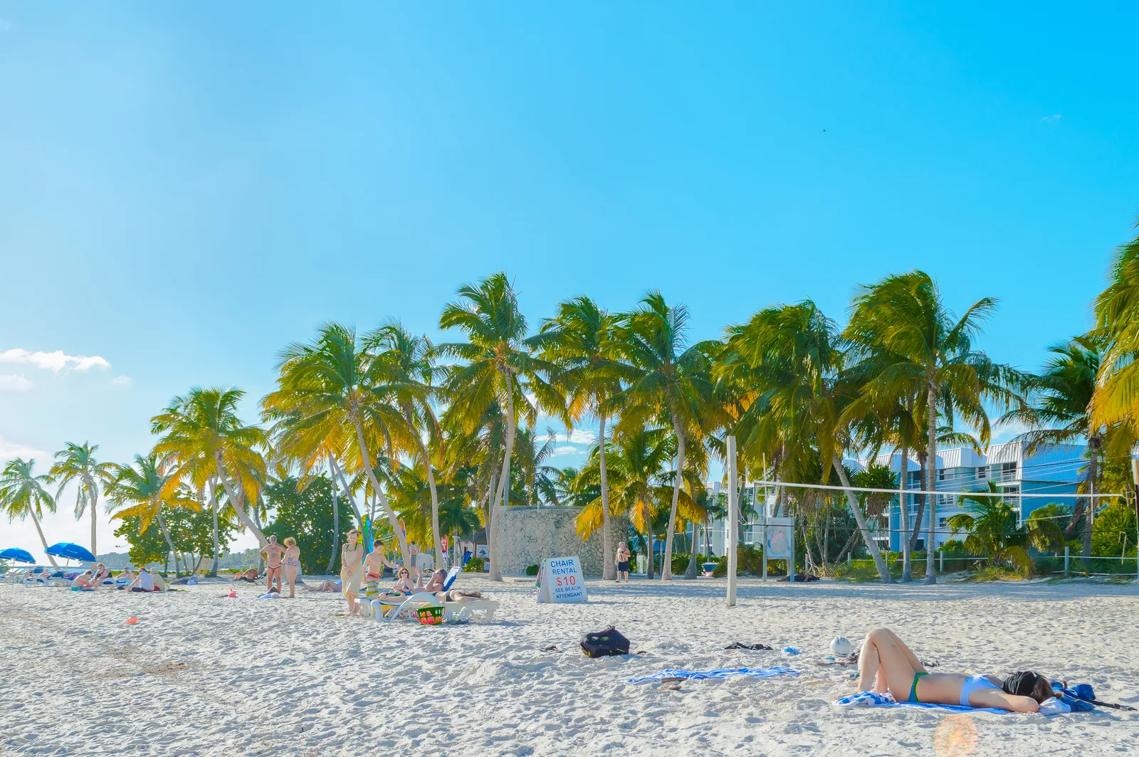 Palm-lined sand and blue water at Smathers Beach in Key West
