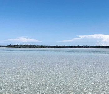 Southernmost Sandbar Charters in Key West