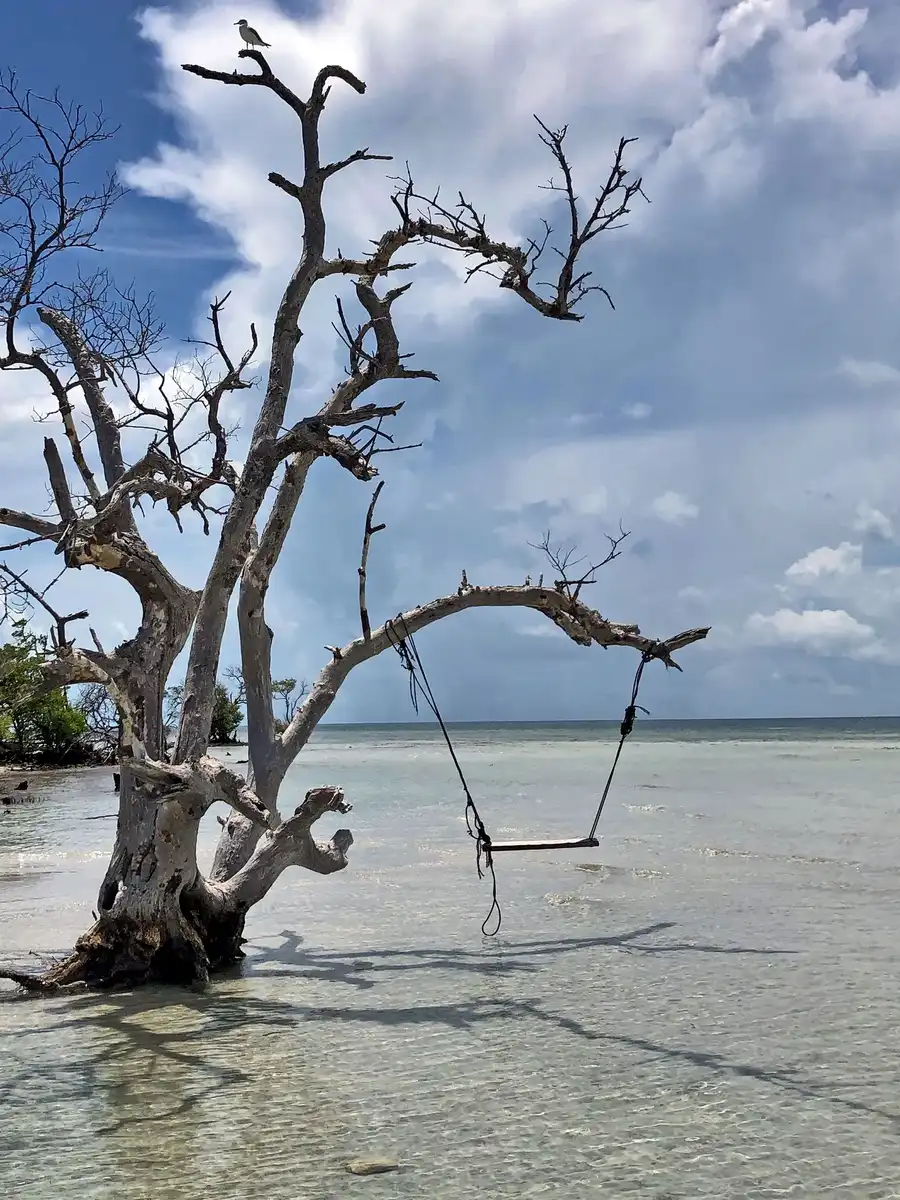 Swing over the sandbars near Key West